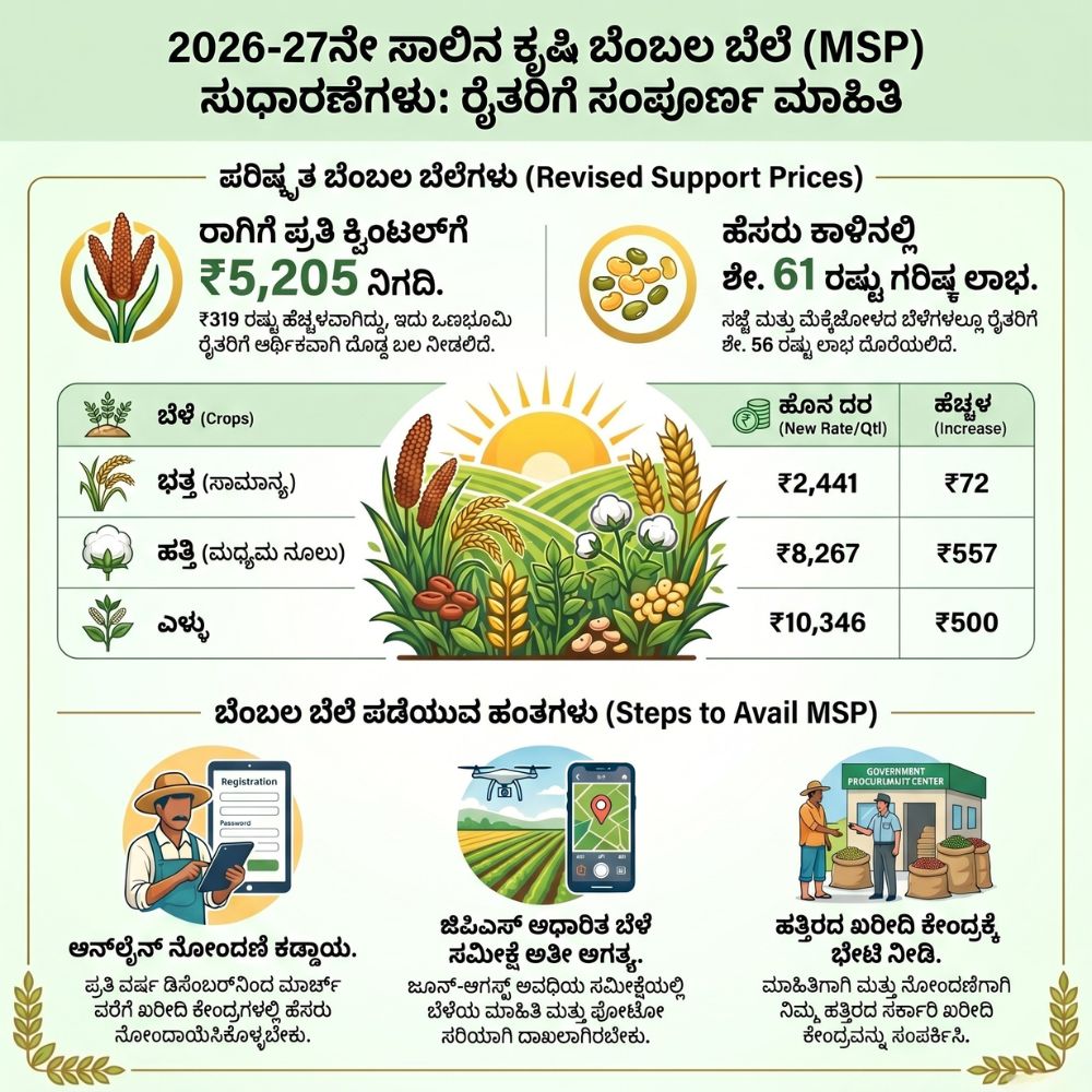 msp price hike