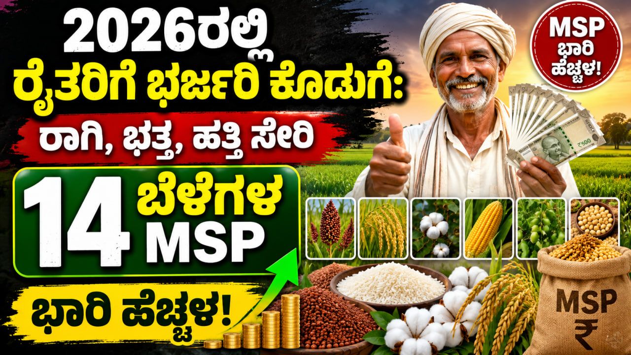 msp price increase
